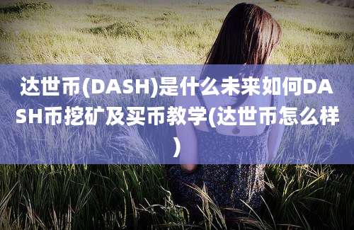 达世币(DASH)是什么未来如何DASH币挖矿及买币教学(达世币怎么样)