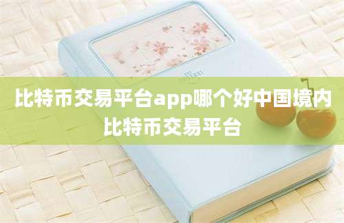 比特币交易平台app哪个好中国境内比特币交易平台