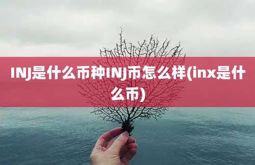 INJ是什么币种INJ币怎么样(inx是什么币)