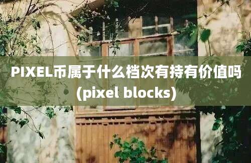 PIXEL币属于什么档次有持有价值吗(pixel blocks)