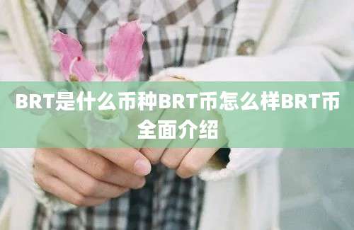 BRT是什么币种BRT币怎么样BRT币全面介绍