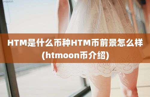 HTM是什么币种HTM币前景怎么样(htmoon币介绍)