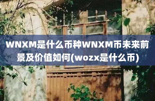 WNXM是什么币种WNXM币未来前景及价值如何(wozx是什么币)