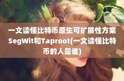 一文读懂比特币原生可扩展性方案SegWit和Taproot(一文读懂比特币的人是谁)