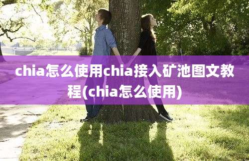 chia怎么使用chia接入矿池图文教程(chia怎么使用)