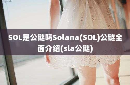 SOL是公链吗Solana(SOL)公链全面介绍(sla公链)