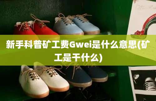 新手科普矿工费Gwei是什么意思(矿工是干什么)