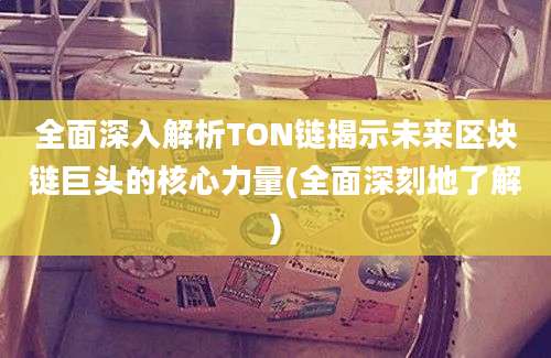 全面深入解析TON链揭示未来区块链巨头的核心力量(全面深刻地了解)