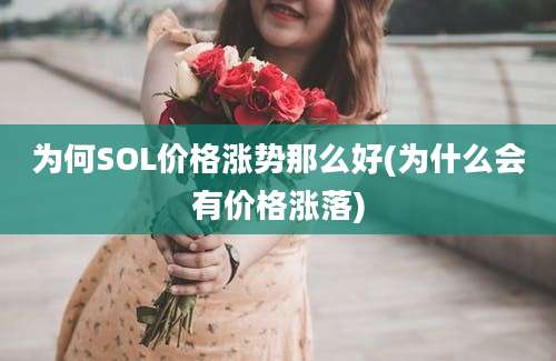 为何SOL价格涨势那么好(为什么会有价格涨落)