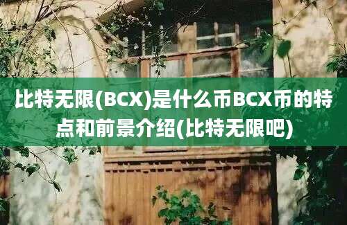 比特无限(BCX)是什么币BCX币的特点和前景介绍(比特无限吧)