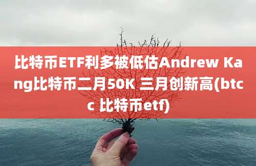 比特币ETF利多被低估Andrew Kang比特币二月50K 三月创新高(btcc 比特币etf)