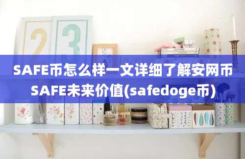 SAFE币怎么样一文详细了解安网币SAFE未来价值(safedoge币)