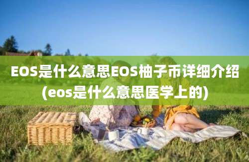 EOS是什么意思EOS柚子币详细介绍(eos是什么意思医学上的)