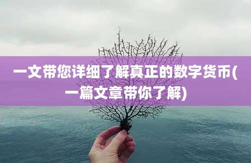 一文带您详细了解真正的数字货币(一篇文章带你了解)