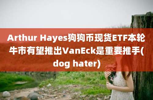 Arthur Hayes狗狗币现货ETF本轮牛市有望推出VanEck是重要推手(dog hater)