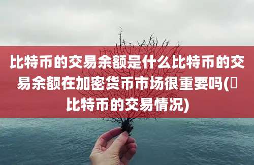 比特币的交易余额是什么比特币的交易余额在加密货币市场很重要吗(犇比特币的交易情况)