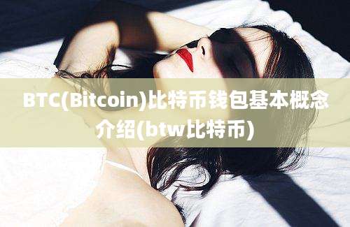 BTC(Bitcoin)比特币钱包基本概念介绍(btw比特币)