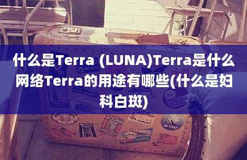 什么是Terra (LUNA)Terra是什么网络Terra的用途有哪些(什么是妇科白斑)