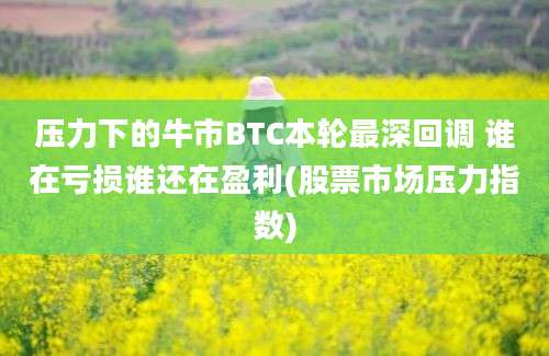 压力下的牛市BTC本轮最深回调 谁在亏损谁还在盈利(股票市场压力指数)