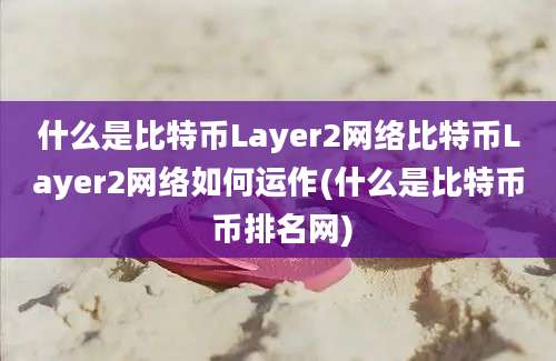 什么是比特币Layer2网络比特币Layer2网络如何运作(什么是比特币 币排名网)