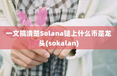 一文搞清楚Solana链上什么币是龙头(sokalan)