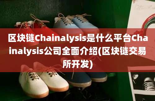 区块链Chainalysis是什么平台Chainalysis公司全面介绍(区块链交易所开发)