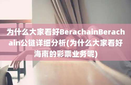 为什么大家看好BerachainBerachain公链详细分析(为什么大家看好海南的彩票业务呢)