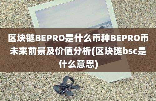 区块链BEPRO是什么币种BEPRO币未来前景及价值分析(区块链bsc是什么意思)