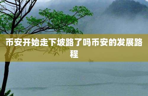 币安开始走下坡路了吗币安的发展路程