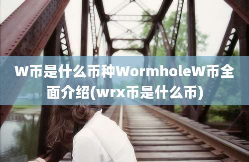 W币是什么币种WormholeW币全面介绍(wrx币是什么币)