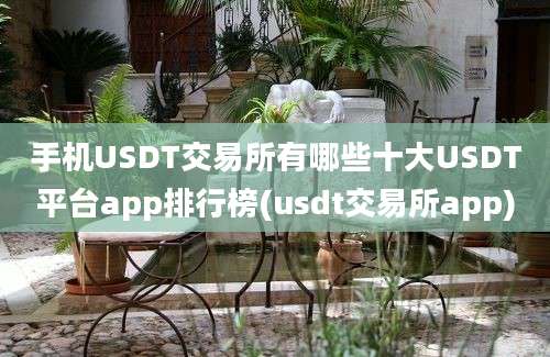 手机USDT交易所有哪些十大USDT平台app排行榜(usdt交易所app)