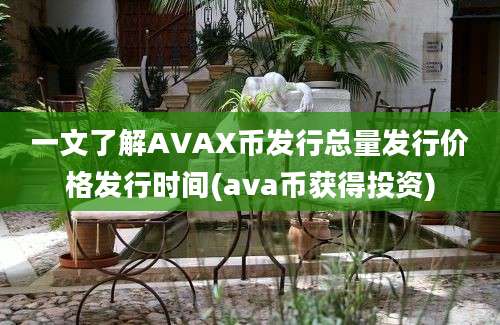 一文了解AVAX币发行总量发行价格发行时间(ava币获得投资)