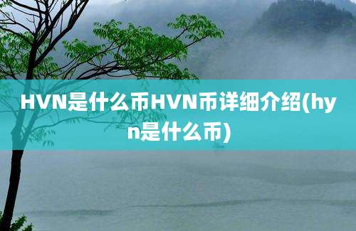 HVN是什么币HVN币详细介绍(hyn是什么币)