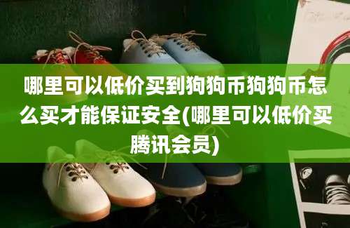 哪里可以低价买到狗狗币狗狗币怎么买才能保证安全(哪里可以低价买腾讯会员)