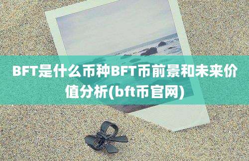 BFT是什么币种BFT币前景和未来价值分析(bft币官网)