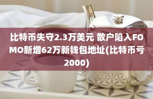 比特币失守2.3万美元 散户陷入FOMO新增62万新钱包地址(比特币亏2000)