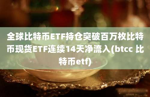 全球比特币ETF持仓突破百万枚比特币现货ETF连续14天净流入(btcc 比特币etf)