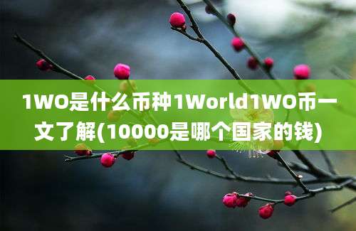 1WO是什么币种1World1WO币一文了解(10000是哪个国家的钱)