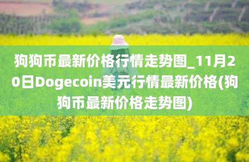 狗狗币最新价格行情走势图_11月20日Dogecoin美元行情最新价格(狗狗币最新价格走势图)