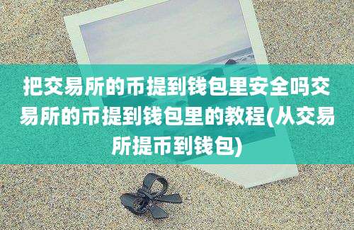 把交易所的币提到钱包里安全吗交易所的币提到钱包里的教程(从交易所提币到钱包)