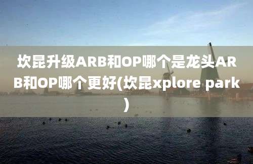 坎昆升级ARB和OP哪个是龙头ARB和OP哪个更好(坎昆xplore park)