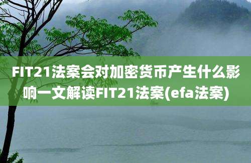 FIT21法案会对加密货币产生什么影响一文解读FIT21法案(efa法案)