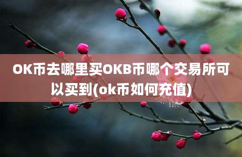 OK币去哪里买OKB币哪个交易所可以买到(ok币如何充值)