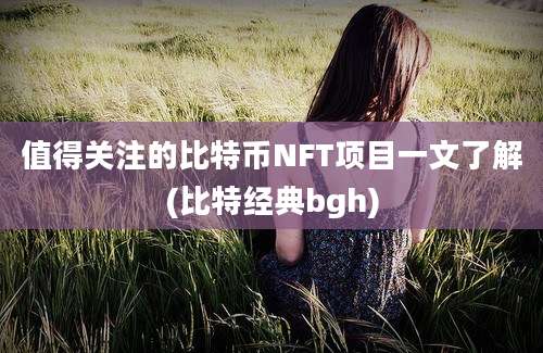 值得关注的比特币NFT项目一文了解(比特经典bgh)