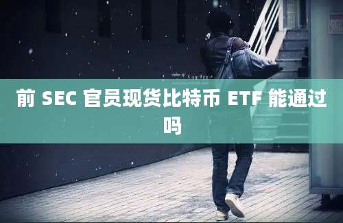 前 SEC 官员现货比特币 ETF 能通过吗