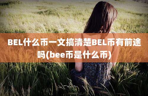 BEL什么币一文搞清楚BEL币有前途吗(bee币是什么币)