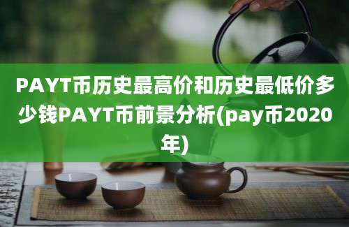 PAYT币历史最高价和历史最低价多少钱PAYT币前景分析(pay币2020年)