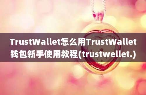 TrustWallet怎么用TrustWallet钱包新手使用教程(trustwellet.)