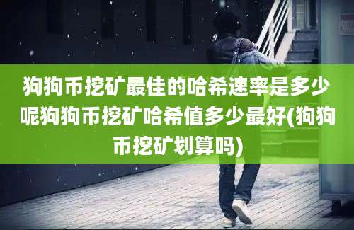 狗狗币挖矿最佳的哈希速率是多少呢狗狗币挖矿哈希值多少最好(狗狗币挖矿划算吗)