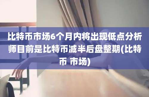 比特币市场6个月内将出现低点分析师目前是比特币减半后盘整期(比特币 市场)